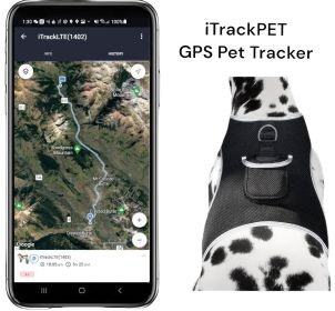 Inexpensive Waterproof GSM GPRS Pet Tracker Cat GPS Tracking Device Size:L