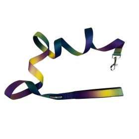 American River Ombre Leash - Cosmic Splash (Option: 1 inch wide x 6 feet long)