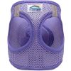 Paisley Purple