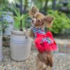Cherry Stripe Harness Dress with Matching Leash New Spring 2024