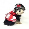 Christmas Candy Cane Dress and Matching Leash