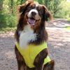 Packable Raincoat - Yellow