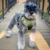 Venture Paw PULL CONTROL Harness - Aspen -          Made with tough Outer Duck Fabric and Soft Mesh Lining. No Pulling / Front and Top D-Ring