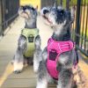 Venture Paw PULL CONTROL Harness - Aspen -          Made with tough Outer Duck Fabric and Soft Mesh Lining. No Pulling / Front and Top D-Ring