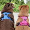 Venture Paw PULL CONTROL Harness - Wild Raspberry -          Made with tough Outer Duck Fabric and Soft Mesh Lining. No Pulling / Front and Top D-Ring